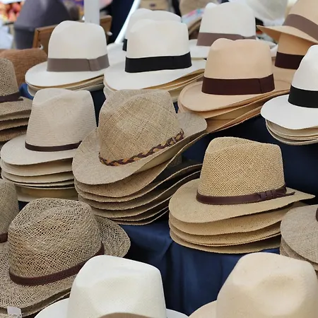 Mansion In With Private Pool * Fréjus