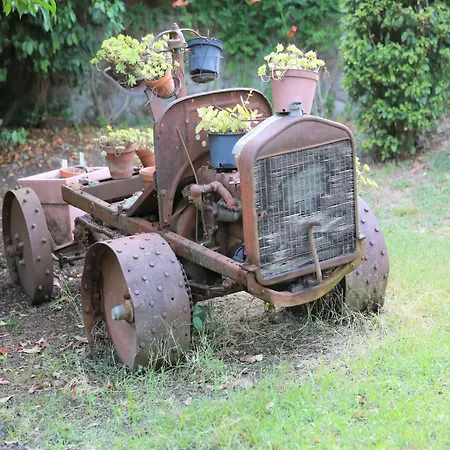 Mansion In With Private Pool